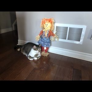 Meet your Posher, Danyelle